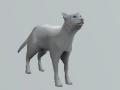 Utherverse Animals White Cat